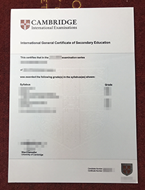 How to Buy a Fake Cambridge (IGCSE)International Ge