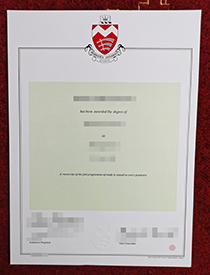 I Plan to Buy a Fake (MDX)Middlesex University Dipl