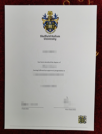 The Use of a Fake (SHU) Sheffield Hallam University