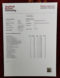 How Much Does a Replica (SHU) Sheffield Hallam Univ