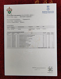 Buy a Fake Swansea University (Prifysgol Abertawe) 
