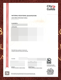 If You Looking For a City & Guilds NVQ Level 3 