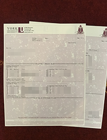 Buy Fake York University (Université York) Transcr