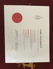 How Much Does York University (Université York) Fa