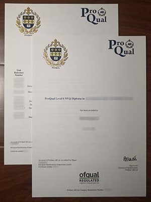 How much does a phony ProQual level 6 diploma and t