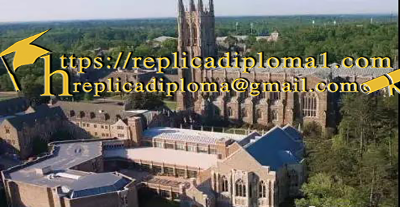 duke university diploma