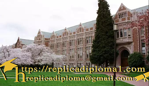 university of washington diploma