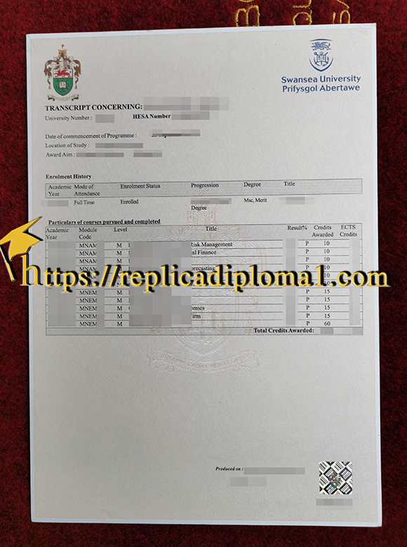 Swansea University transcript