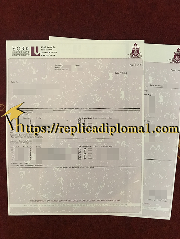 York University transcript